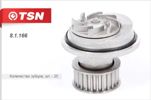 TSN 81166