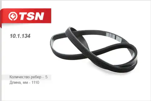 TSN 101134