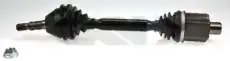 304431