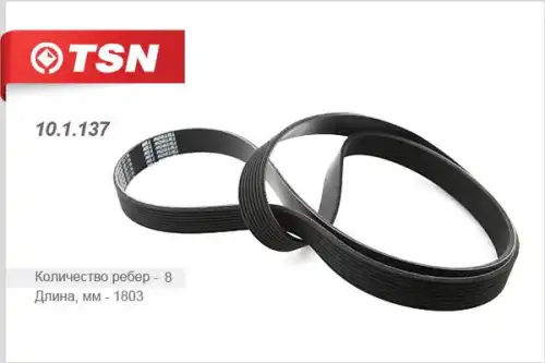 TSN 101137
