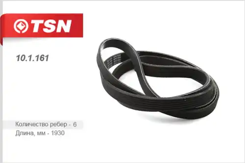 TSN 101161