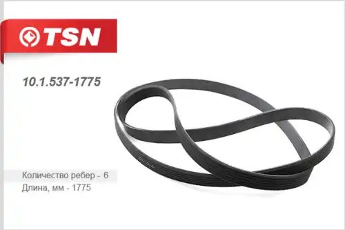 TSN 1015371775