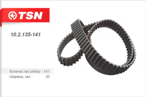 (102135141/TSN)