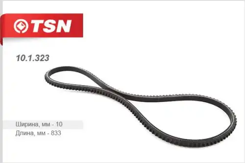 TSN 101323