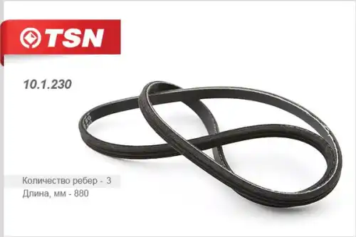 TSN 101230