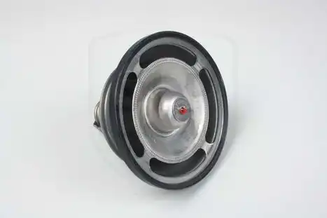 Термостат системы охлаждения SLP T-216