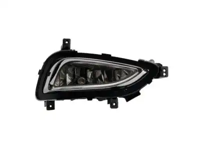 Фара противотуманная HYUNDAI / KIA 922023V010