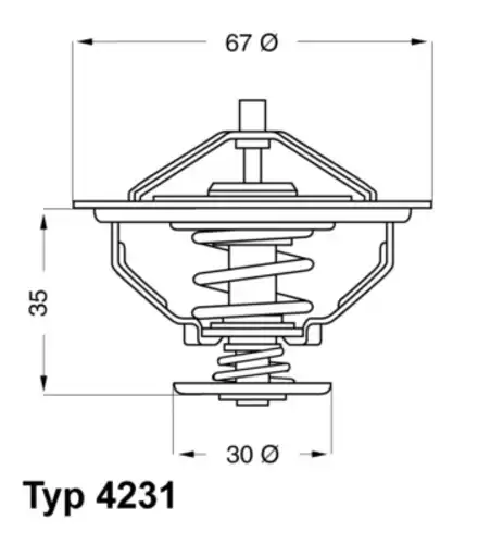 Термостат системы охлаждения WAHLER 4231.84D