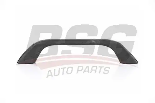 Ручка двери BSG BSG 30-970-049
